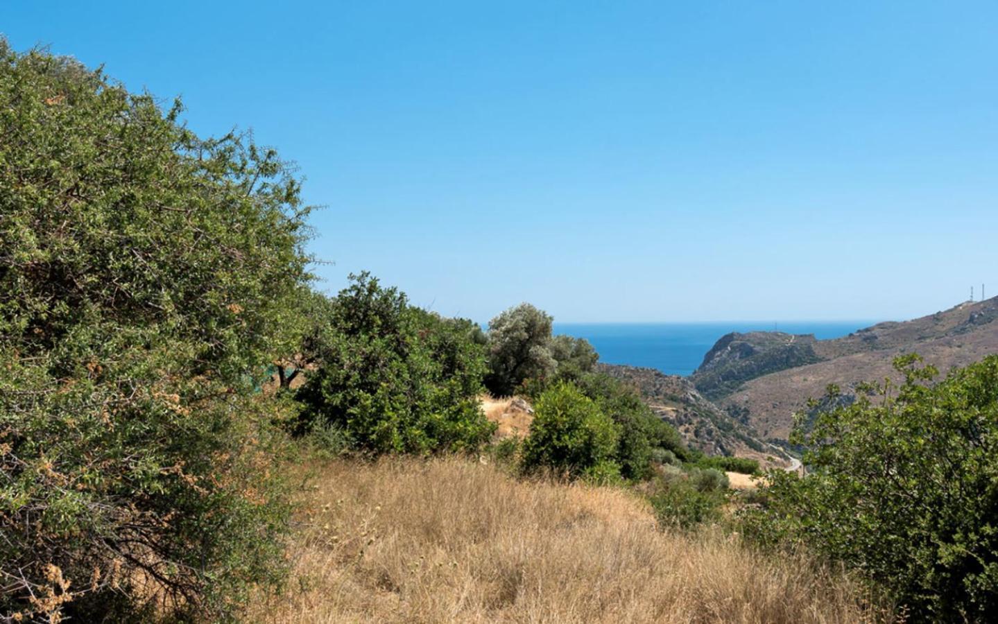 פליאוחורה Villa Talos מראה חיצוני תמונה