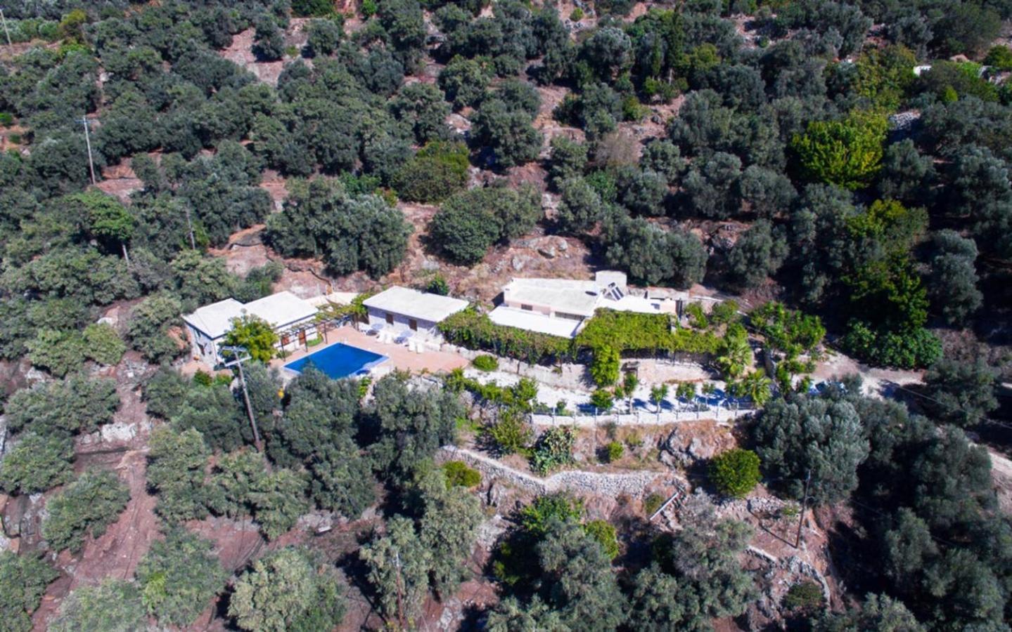 פליאוחורה Villa Talos מראה חיצוני תמונה