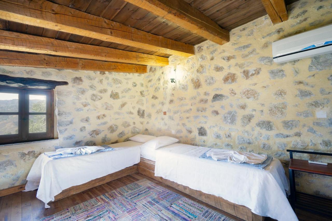 פליאוחורה Villa Talos מראה חיצוני תמונה